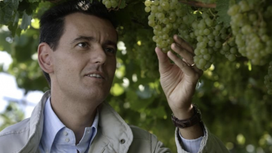 Marcello Lunelli ribattezzato il "medico del vino"