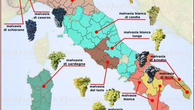 Venezia capitale mondiale della cultura del vitigno Malvasia 